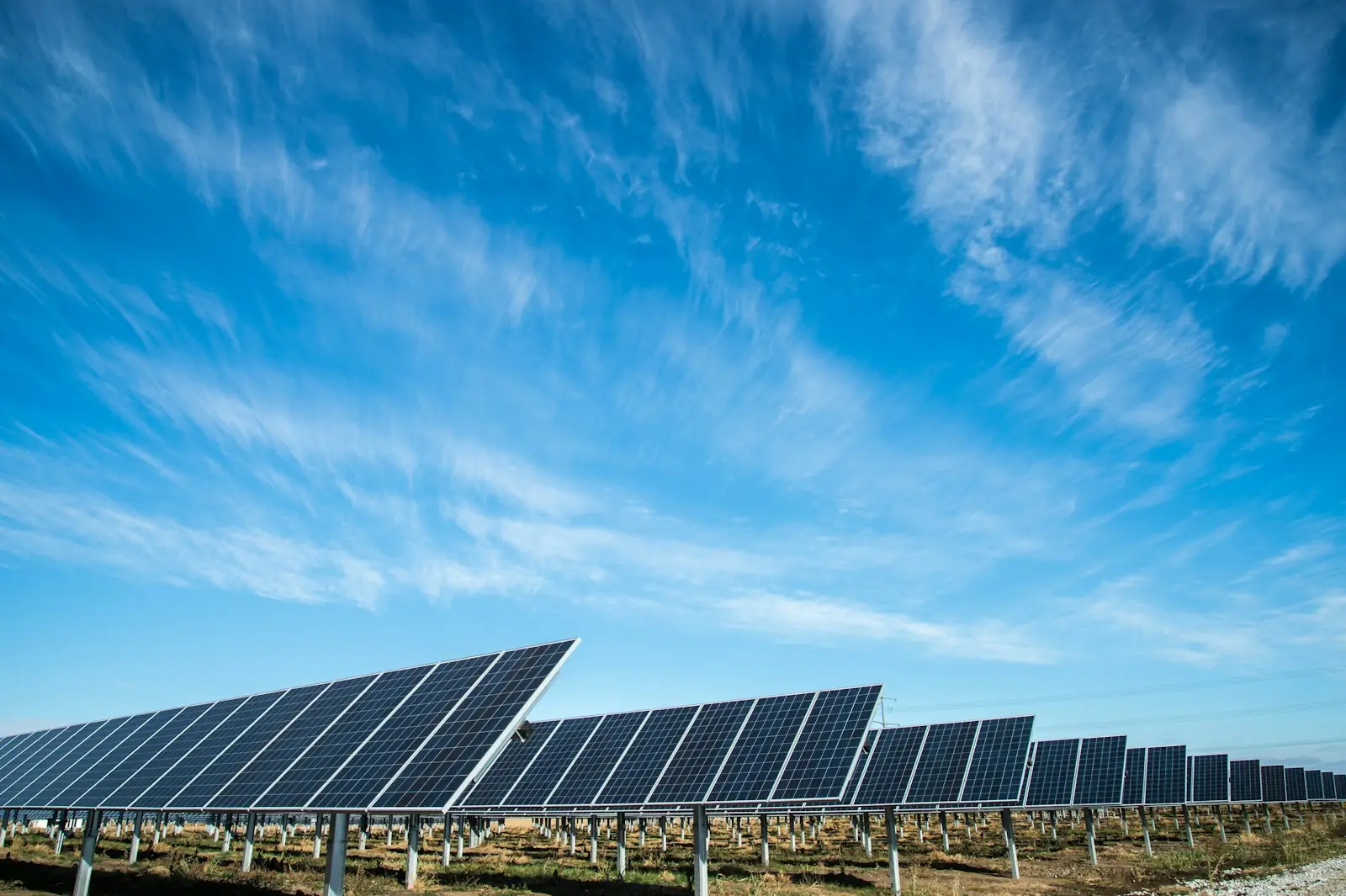 Hileras de módulos solares en campo abierto